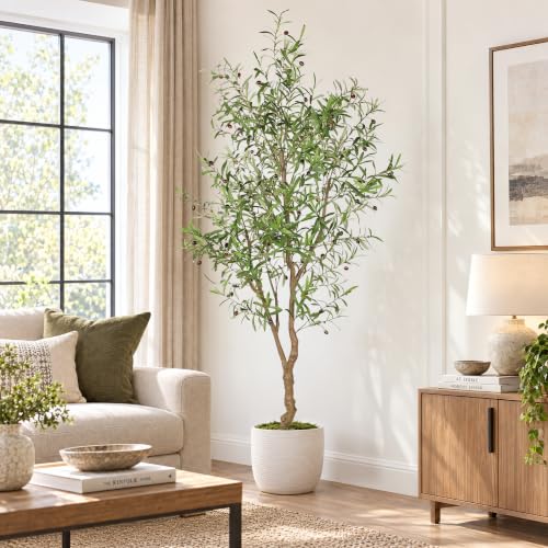 7ft Faux Olive Tree with Natural Branches & Realistic Leaves - Artificial Indoor Decor