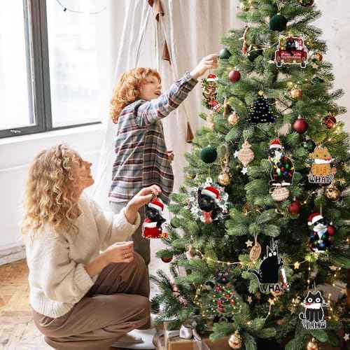 Black Cat Christmas Ornaments 2025, Ornaments for Christmas Tree, Funny Black cat, Cat Decor,Personalized Gifts for Lovers