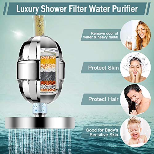 Filtered Handheld Shower Head with High Pressure Rainfall - Silver