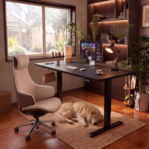 Furmax 55-Inch Electric Height Adjustable Standing Desk Black - Home Office