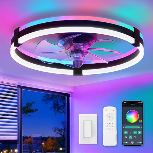 ZMISHIBO 20-Inch Black RGB Ceiling Fan with Lights Remote Control