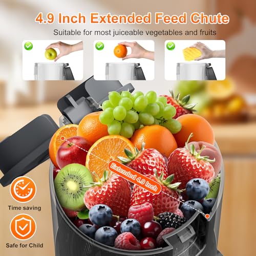 Cold Press Juicer Machine 400W with Wide Feed Chute - Silver Gray