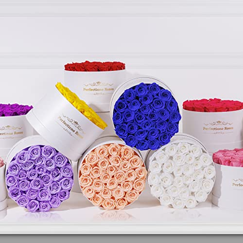 Perfectione Roses Dusty Rose - 27 Preserved Roses Box for Mother's Day Gift
