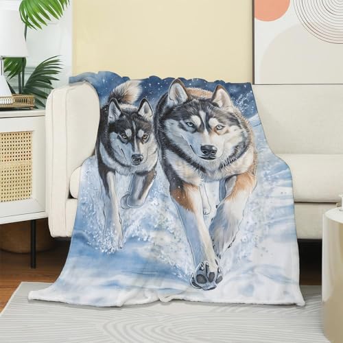 UNDAHIS Husky Dog Blanket 60x50 Inch Cozy Warm Fuzzy Flannel Throw Gift for Pets & Home