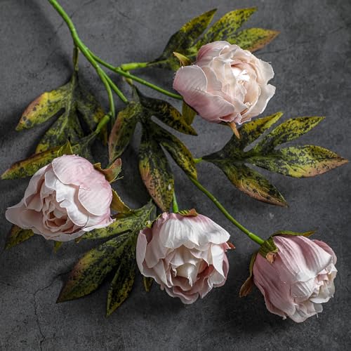 Artificial Peony Flower Stems - Vintage Silk Faux Flowers for Vase Arrangement, 8 Pack - Brownish Variation