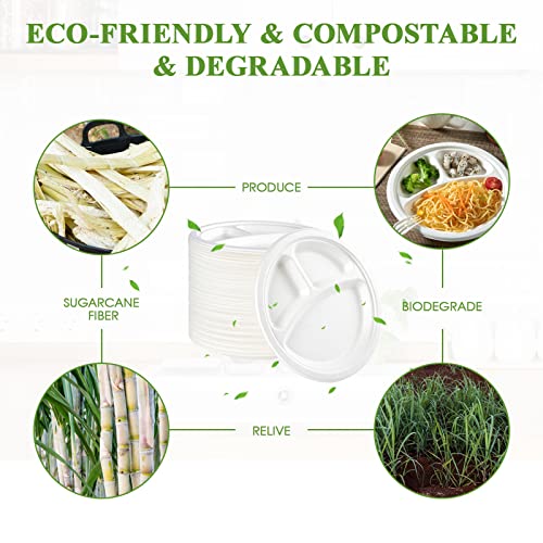 Vplus Compostable Plates 10 Inch 3-Compartment White Pack of 500 - Eco-Friendly Dinnerware