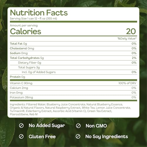 Blueberry White Tea - Low Sugar Iced Tea with Antioxidants, 12oz, Pack of 16 - Happy Being