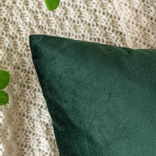 EMEMA Pack of 2 Velvet Christmas Throw Pillow Covers Decorative Rectangle Pillowcase Soft Solid Cushion Case for Sofa Bedroom Chair Car 12x20 Inch Dark Green