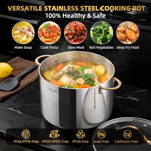 12 Quart Stock Pot with Lid - Tri-Ply Stainless Steel Large Cooking Pot