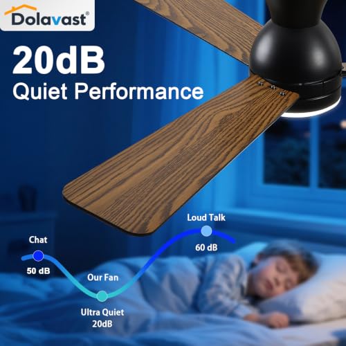 Black 48 Inch Low Profile Ceiling Fan with Light and Remote – Reversible, Dimmable LED, Flush Mount