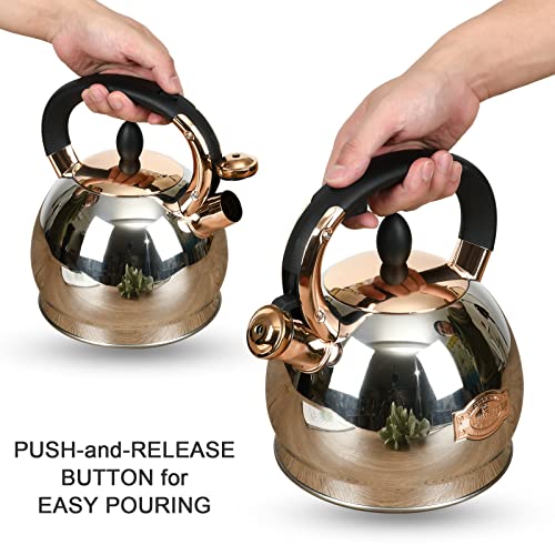 3 Quart Stainless Steel Whistling Tea Kettle with Metal Bottom - Silver