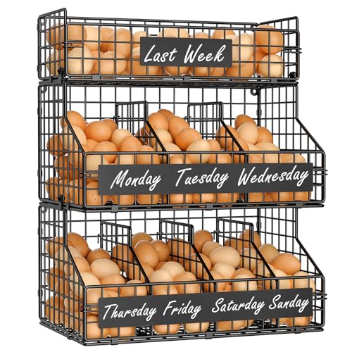 Black 3-Tier Egg Holder with 5 Adjustable Dividers & DIY Nameplate - Large Countertop Organizer