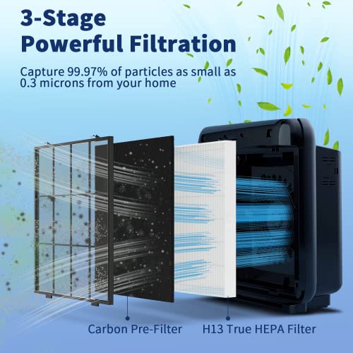 LUYWOFN 2-Pack Replacement HEPA & Carbon Filters for Coway Airmega AP-1512HH 200M
