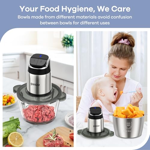 Ganiza Food Processor with Dual Bowls - 2-Speed Meat & Vegetable Chopper - Silver