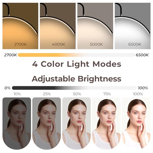 Dimmable Half Moon Floor Lamp for Salon & Home Esthetic Lighting