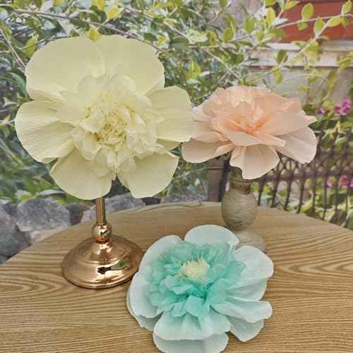 Mybbshower Crepe Paper Flower for Wall Psprt Pom Pom Decor Girls Birthday Party Backdrop Baby Shower Nursery Room Decoration Pack of 9 (Pastel)