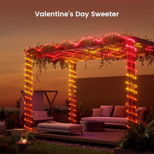 YEELIGHT 66ft 200 LED Color Changing Smart Christmas Lights with Remote & Bluetooth - Music Sync, Indoor/Outdoor