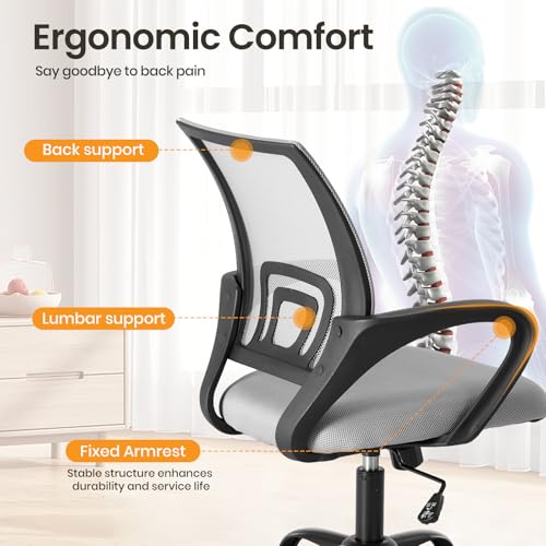 OLIXIS Grey Ergonomic Office Mesh Chair with Lumbar Support & Adjustable Height