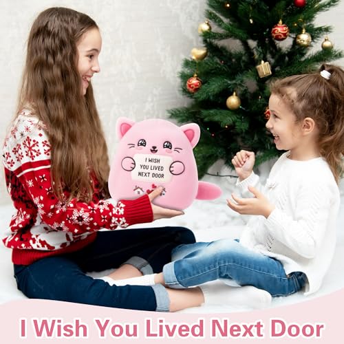Friendship Plush Cat Stuffed Animal for Women Bestie Birthday Gift for Sister Girlfriend I Wish You Lived Next Door Plush Toy Pillow 9 Inch