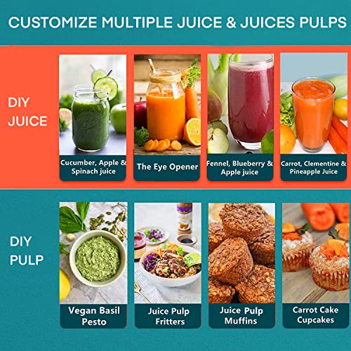 Juilist 3-Inch Wide Mouth Juicer Machine - Silver, 800W Max, 3-Speed, Easy-Clean