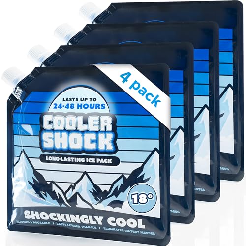 Reusable Ice Packs for Coolers - Add Water/Medium 4 Pack - Long Lasting Cold Freezer Packs for Camping, Fishing, Road Trips, Beach