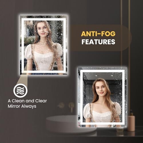 LED Bathroom Mirror with Lights 20x28 Inch Dimmable Anti-Fog Double Lighting