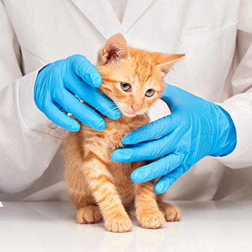 Nitrile Exam Gloves Large Blue Powder-Free Latex-Free Medical Gloves - Case of 1,000