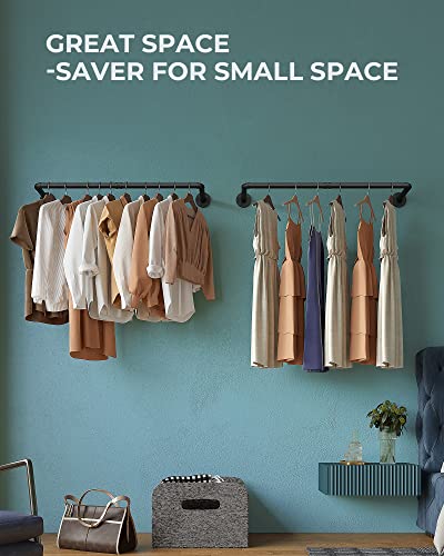 OROPY 38.4" Industrial Pipe Clothes Rack Wall Mounted, Heavy Duty, 2