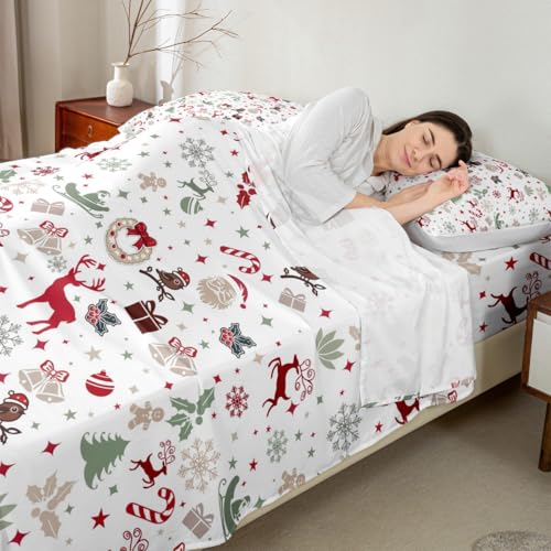 Feelyou Christmas Deer Twin Bed Sheets Set Multicolor Winter Holiday Bedding