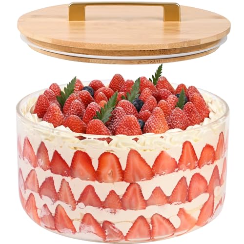 LOVYANXUE 10 Inch Clear Sealed Lid Glass Salad & Trifle Bowl, 197 oz