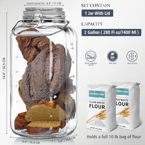 2 Gallon Glass Storage Jar with Airtight Lid & Stainless Steel Handle - Large Wide Mouth Container