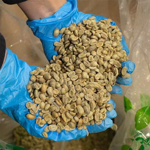 Unroasted Ethiopian Yirgacheffe Kochere Coffee Beans - 80 oz for Home Roasting - Kosher