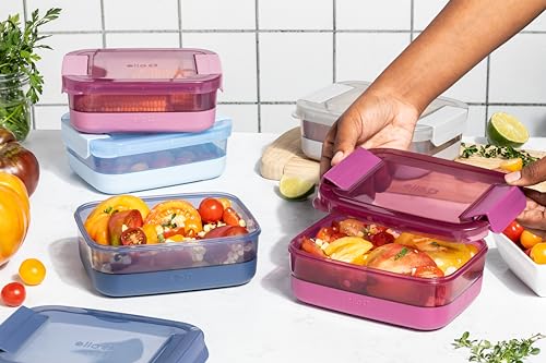Ello 3.7 Cup Plastic Meal Prep Containers 5 Pack Elderberry Variation