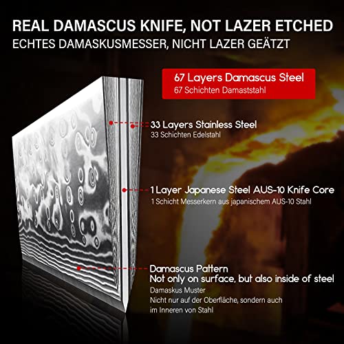 8 Inch Japanese Damascus Steel Chef Knife - SHAN ZU Kitchen Knife with G10 Handle