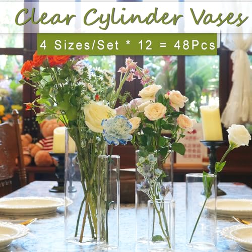 48pcs Glass Cylinder Vases Set - 4, 5, 6 Inch Clear Flower & Candle Holders with Variation 4+4+5+6 Inch