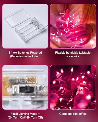 Minetom Pink Fairy Lights 5ft 60LED Battery Operated with Timer, 1 Pack