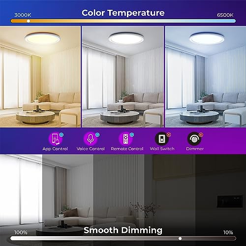 BLNAN 13 Inch Smart RGB LED Flush Mount Ceiling Light with Remote, Dimmable Color Changing Fixture, Alexa Google Compatible