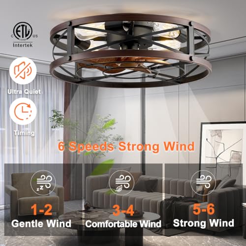 SHLUCE Black & Brown 20 Inch Caged Ceiling Fan with Light & Remote