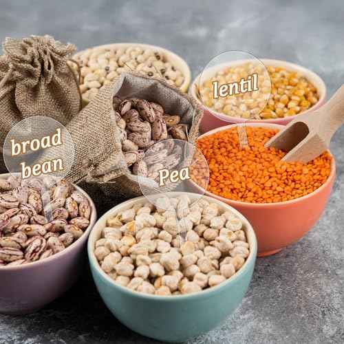 30 Pack Blank Acrylic Cupcake Toppers 2 Inch Round Clear Custom Cupcake Toppers Personalized Dessert Cake Topper Sticks for Birthday Wedding Christmas Baby Shower Party Cake Decoration