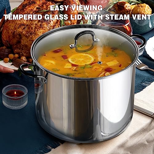 12 Quart Stainless Steel Stock Pot with Lid - Large Cooking Pot for Soup & Canning