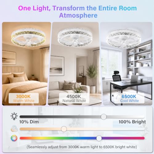 20-Inch Low Profile Ceiling Fan with RGB Lights & Remote Control