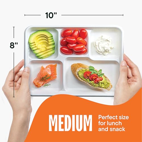 10 Inch Compostable Paper Food Tray with 5 Compartments - Bulk 500-Pack