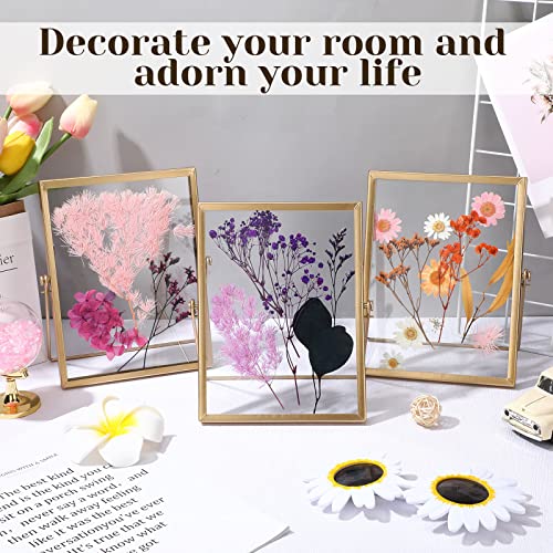 Hoteam Gold 4x6 Inch Floating Photo Frames Set of 12 - Elegant Metal Glass Display