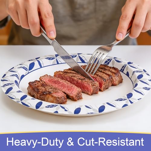 10 Inch Heavy Duty Disposable Paper Plates - 500 Pack, Leakproof & Cut-Resistant - BYSNOW