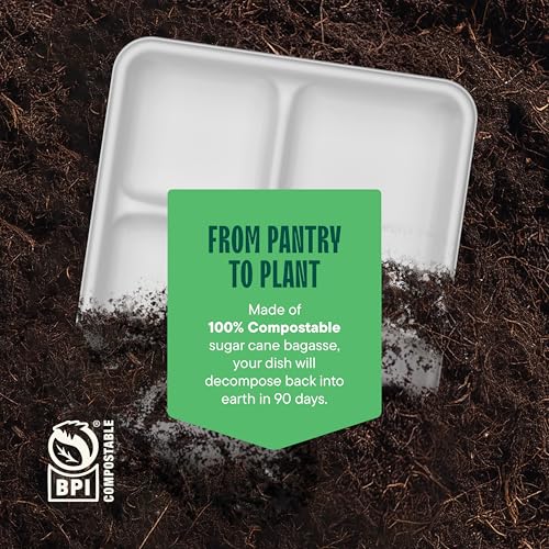 10 Inch Compostable Paper Food Tray with 5 Compartments - Bulk 500-Pack