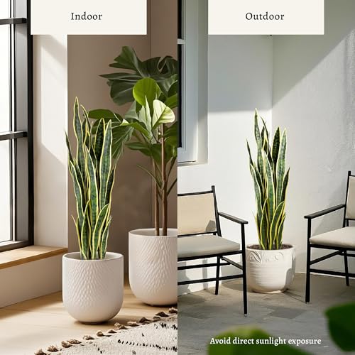 Artificial Snake Plant 3ft 2-Pack - Faux Sansevieria in Yellow, Indoor Home Decor