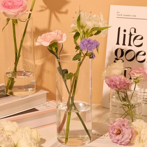 12 Pack 8 Inch Clear Glass Cylinder Vases for Centerpieces - Elegant & Multi-Functional