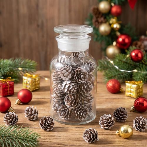 Snow 220 Pcs Christmas Mini Pine Cones Natural Snow Effect Decor - Small Xmas Craft Supplies