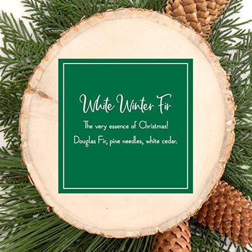Scentsicles White Winter Fir Christmas Tree Ornaments - Natural Holiday Air Freshener, Set of 6
