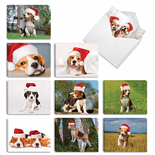 Bouncing Beagles Christmas Notecards – Best Card Co. 20 Assorted 4x5 Cards